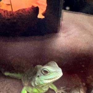 Неизвестно_Jan