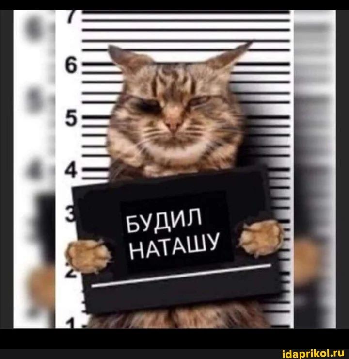 c913f3444d4ecc9c70a2fb169ce98fc1